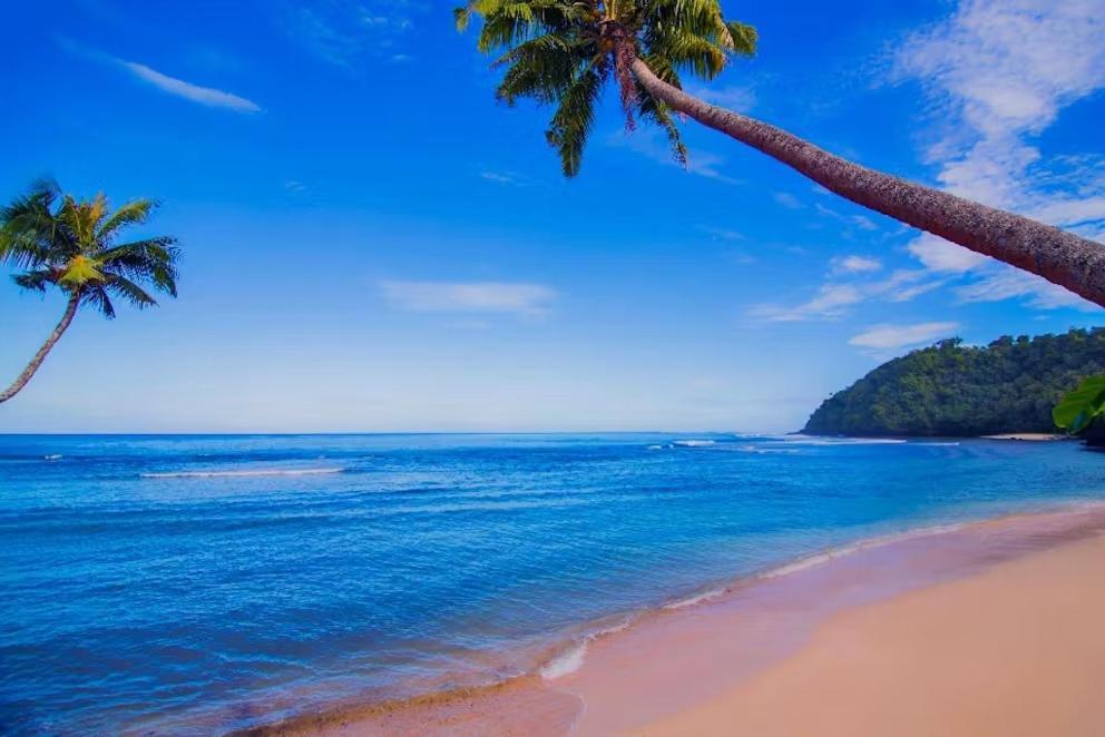 Survivor Samoa Beach Resort Falelatai Eksteriør bilde